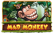 Mad-Monkey.png